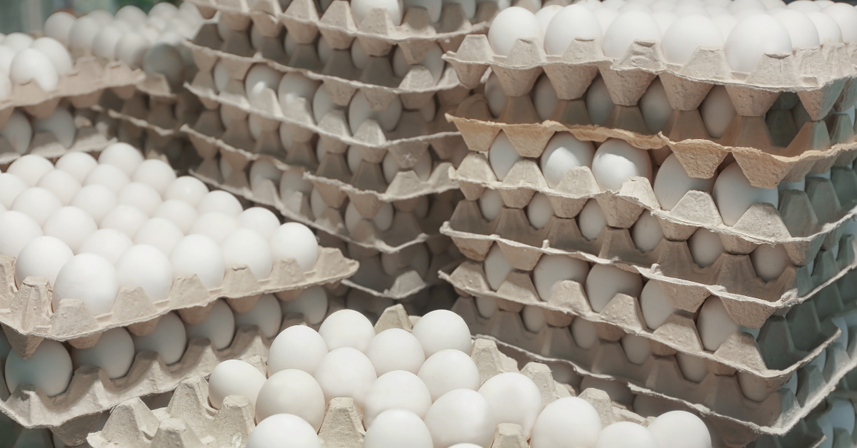 storing eggs