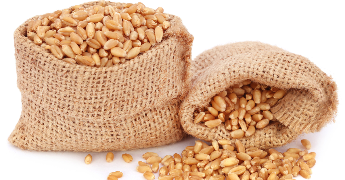 storing wheat