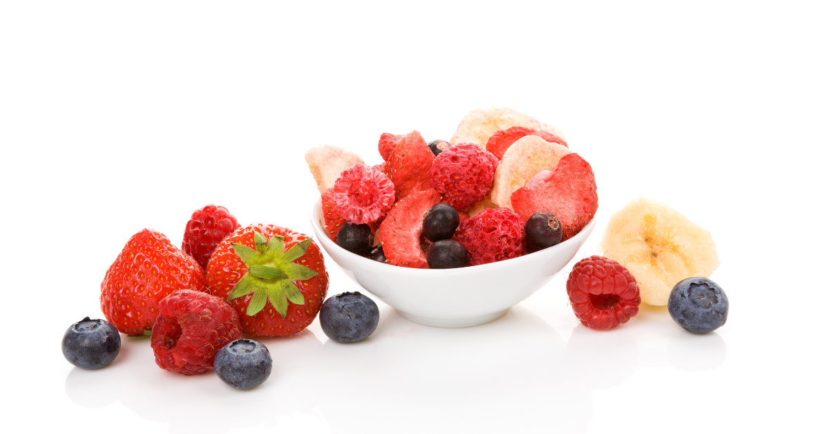 how to freeze dry food 