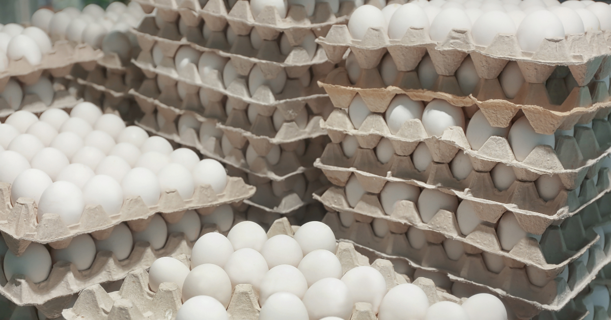 storing eggs 