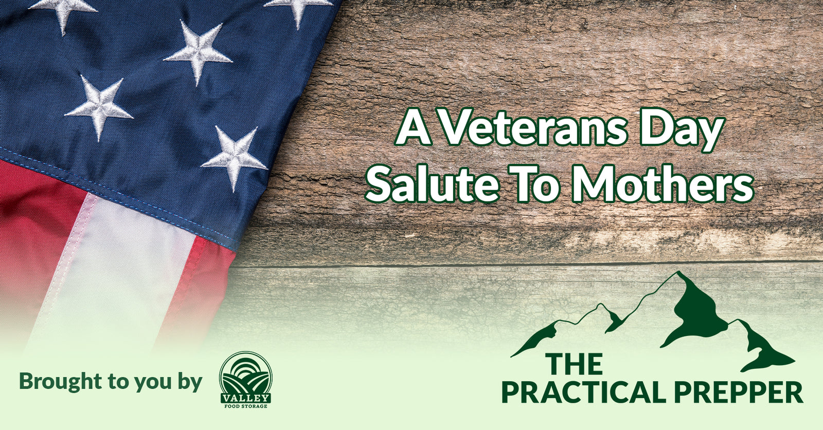 american flag with practical prepper podcast logo